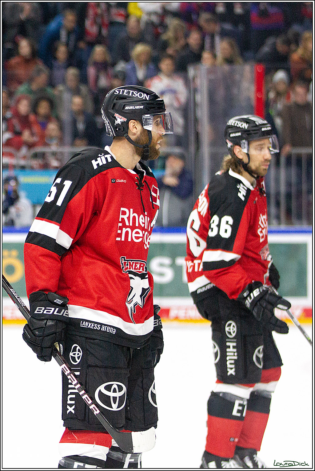 PENNY DEL;  Koelner Haie - Straubing Tigers; Koeln, 15.10.2021